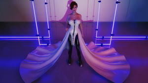 Luxury Dress