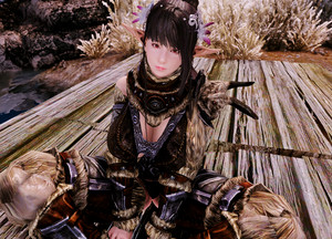 The Expanded World of Bikini Armors