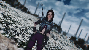 Grandmaster Wolven Armor
