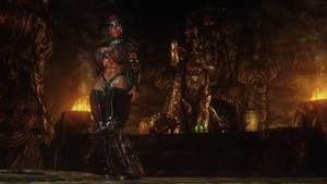 The Expanded World of Bikini Armors