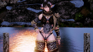 The Expanded World of Bikini Armors