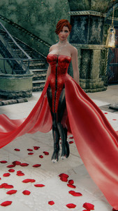 Luxury Dress