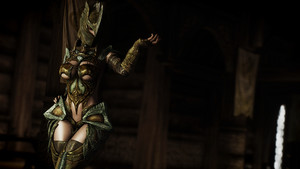 The Expanded World of Bikini Armors