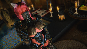 The Expanded World of Bikini Armors