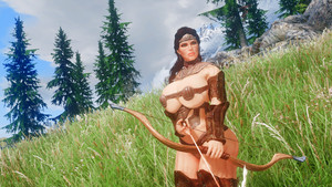 The Expanded World of Bikini Armors